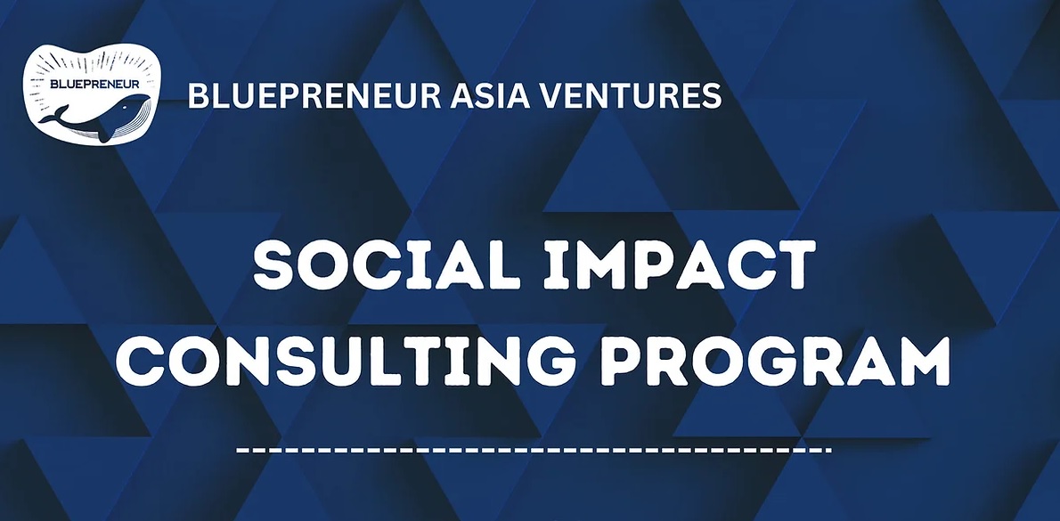 social-impact-consulting-program